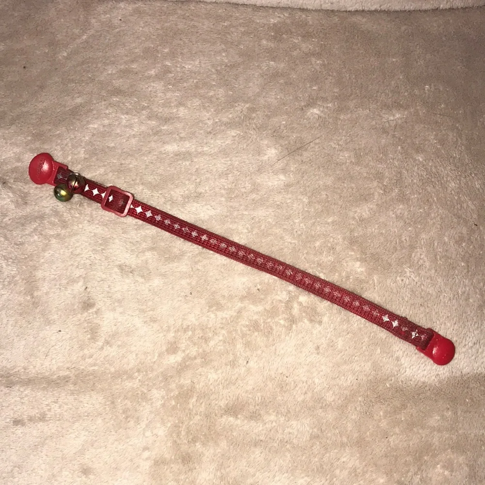 Adult cat adjustable breakaway collar red and silver with bells 💕